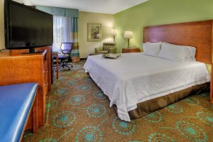 Hampton Inn Goldsboro King Room